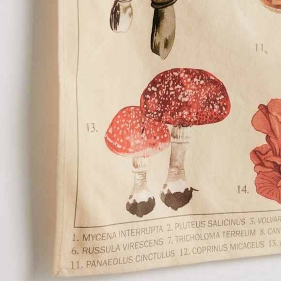Mushroom Varieties Chart Tapestry Wall Decor - Picture 2 of 7